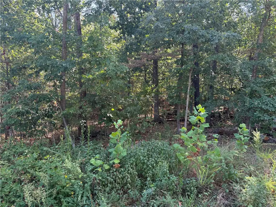 Elsworth Lane, Bella Vista, AR 72714 - #2