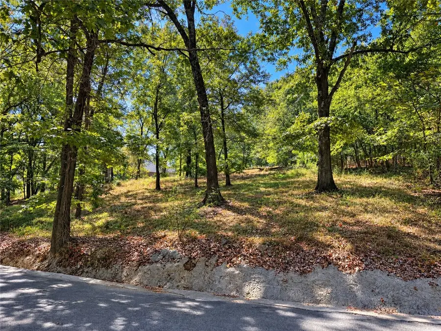 12197 Kenneth Price Road, Elm Springs, AR 72762 - #2