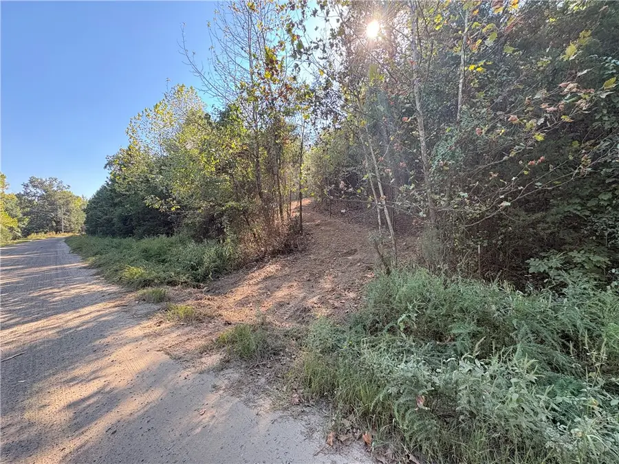 7 Acres Off Quicker Still Lane, Dover, AR 72837 - #3