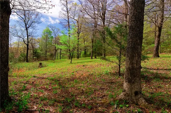 14240 Truelove Road, West Fork, AR 72774