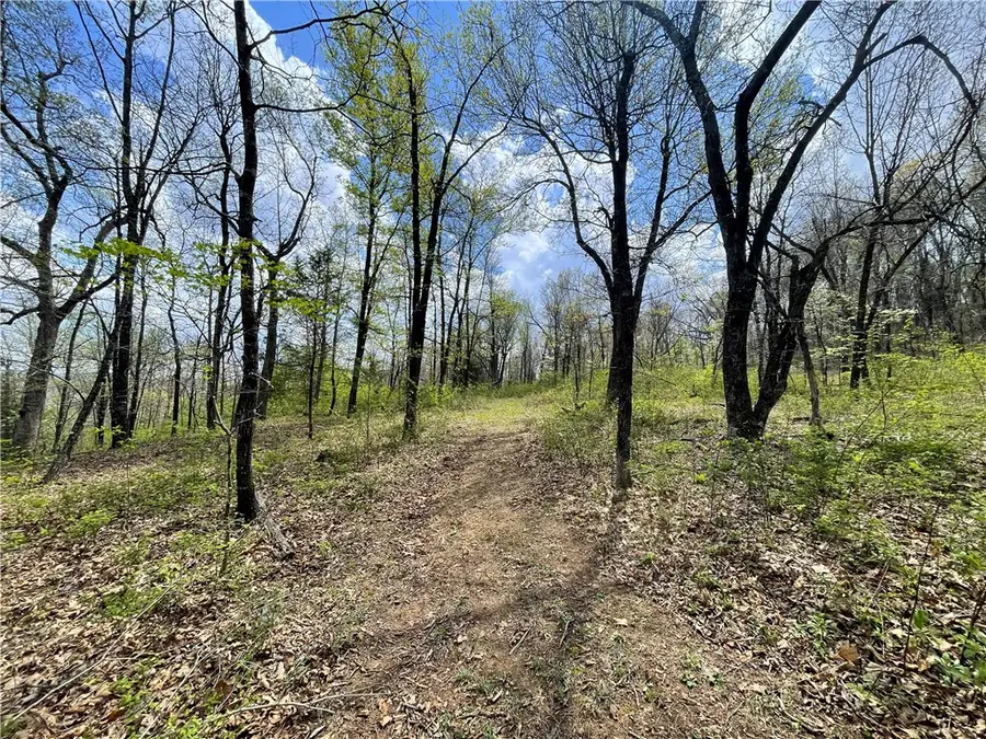 14240 Truelove Road, West Fork, AR 72774 - #2
