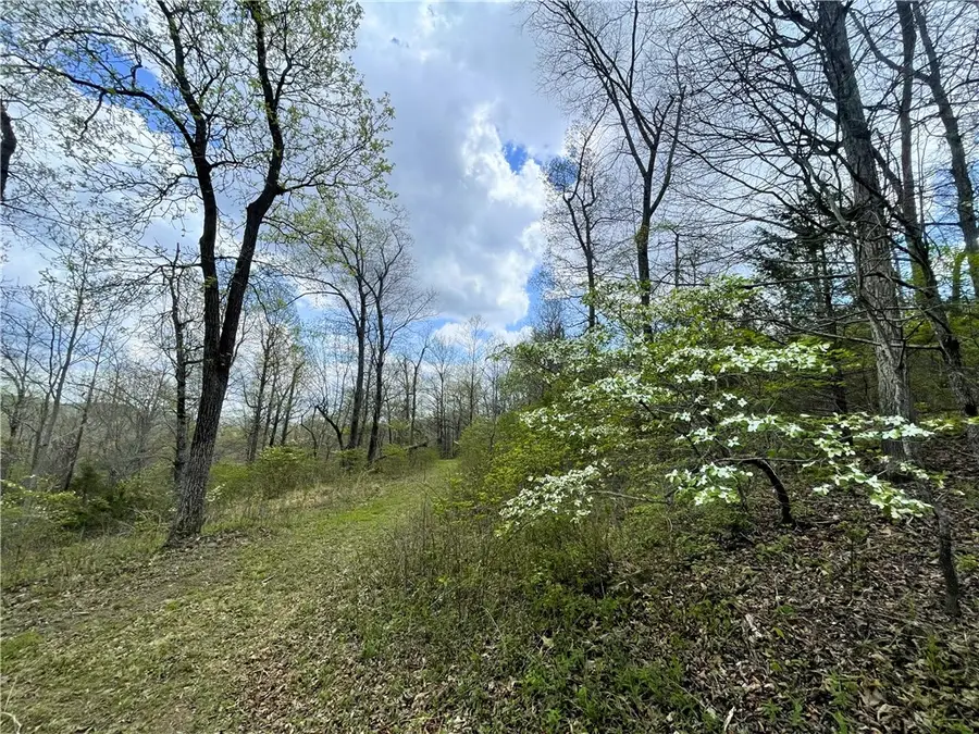 14240 Truelove Road, West Fork, AR 72774 - #3