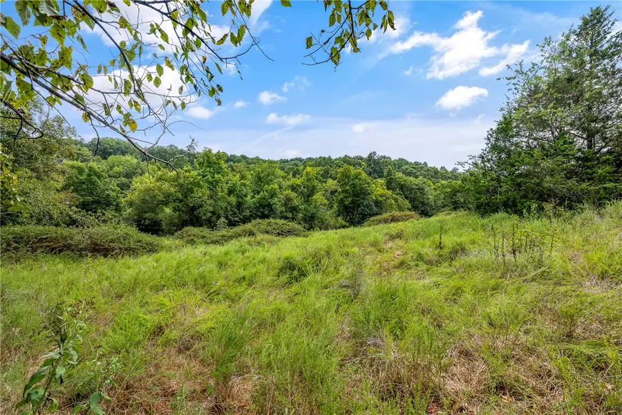 Capps Ranches Road, Rogers, AR 72756 - #3