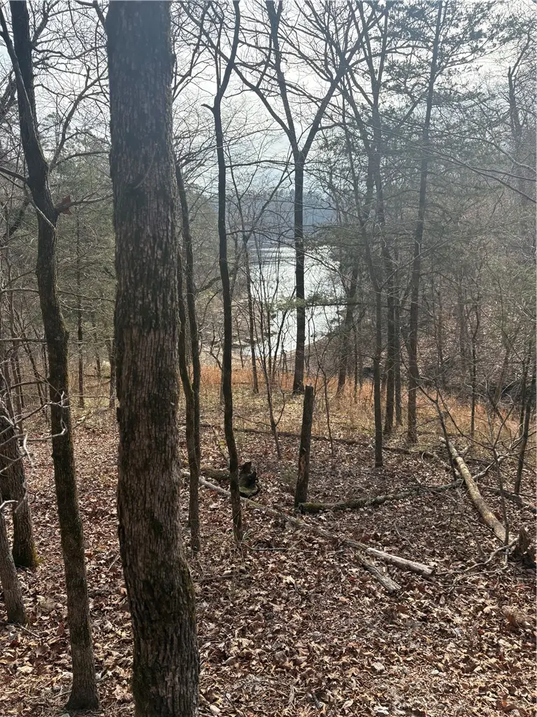 Lakeside Drive, Rogers, AR 72756 - #2