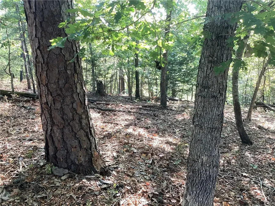 Lakeside Drive, Rogers, AR 72756 - #3