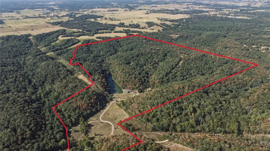 14882 Bird Mountain Road, Sulphur Springs, AR 72768 - #2