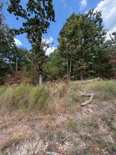 TBD Sandgate, Bella Vista, AR 72715 - #2