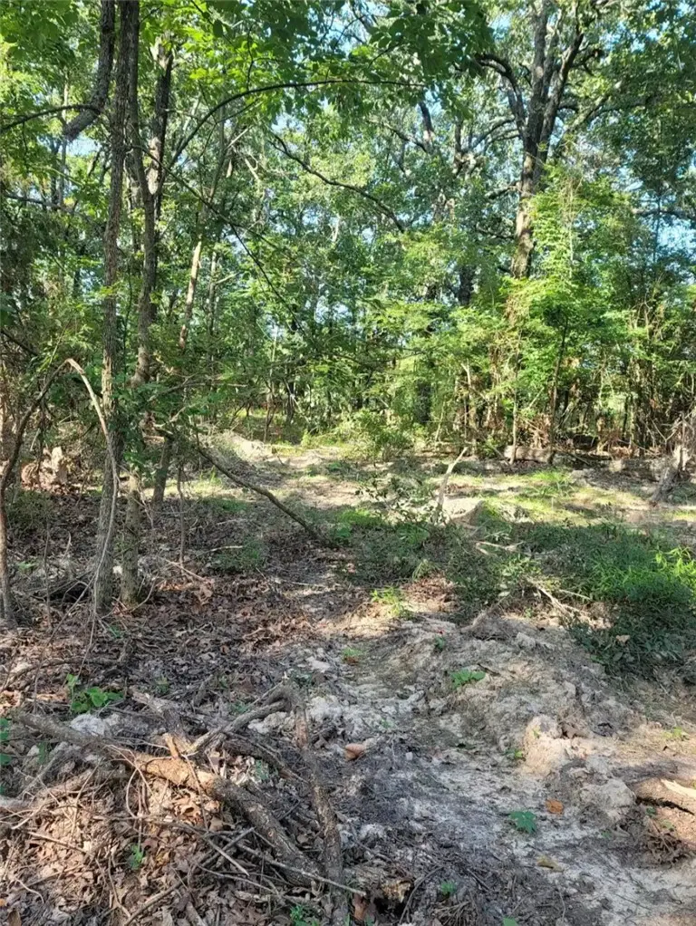 5 Acres E Adams Street, Lincoln, AR 72744 - #2