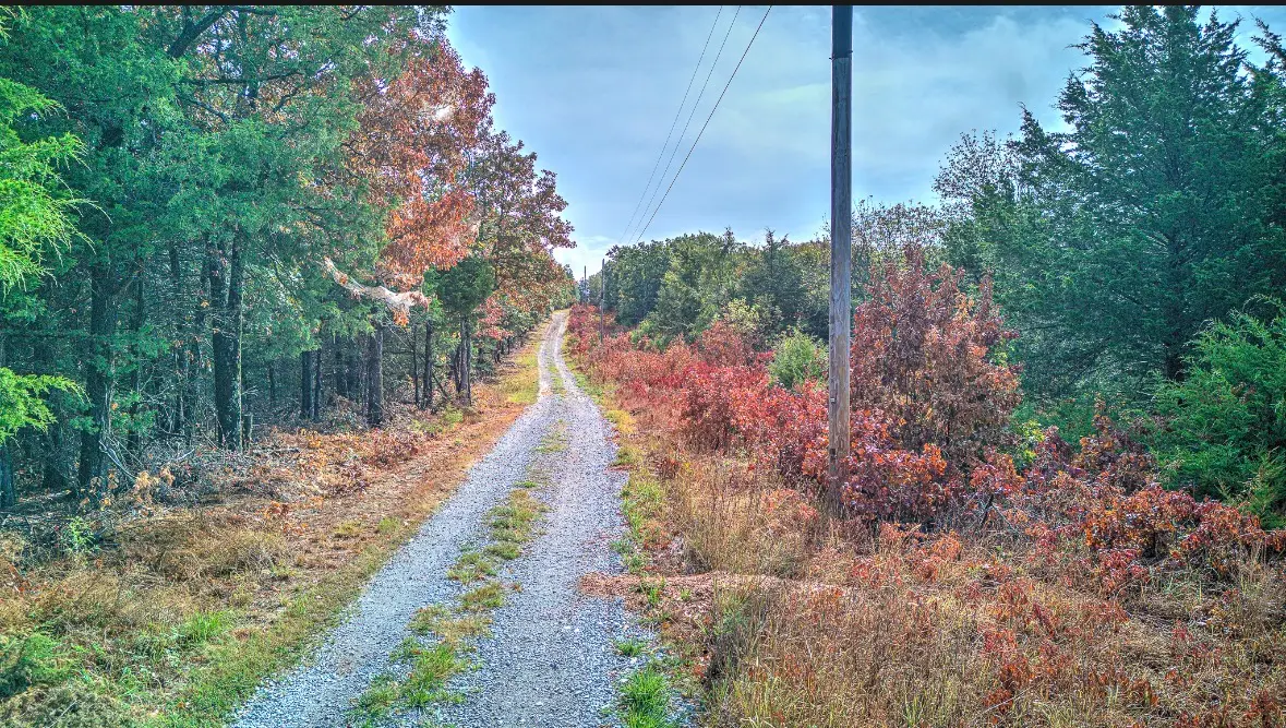 Wallin Mountain Rd, Greenland, AR 72737 - #1