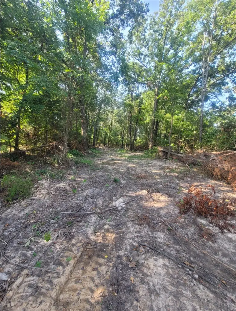 3 Acres E Adams Street, Lincoln, AR 72744 - #2
