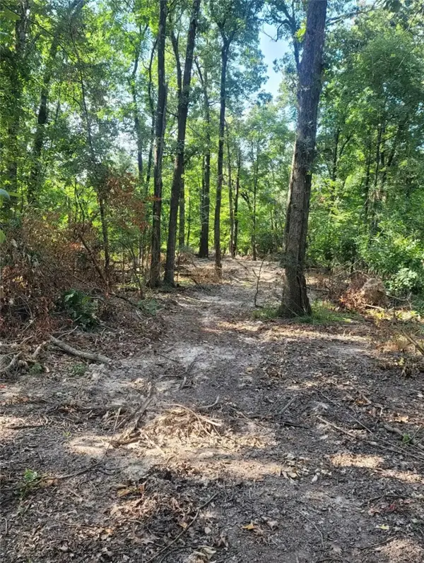 1.37 Acre E Adams Street, Lincoln, AR 72744