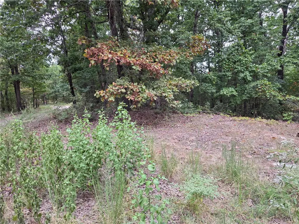 7203 Marion County 6061, Flippin, AR 72634 - #1