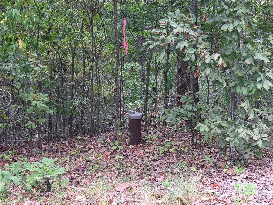 7203 Marion County 6061, Flippin, AR 72634 - #2