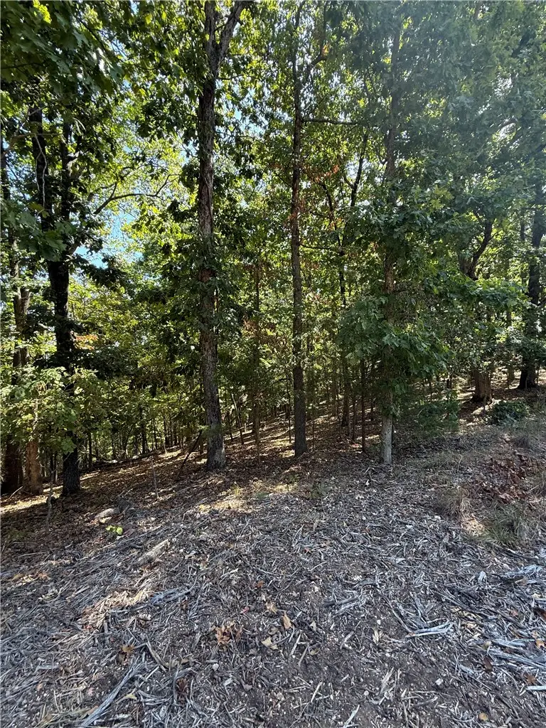 LOT A Old Campbell Road, Rogers, AR 72756 - #3