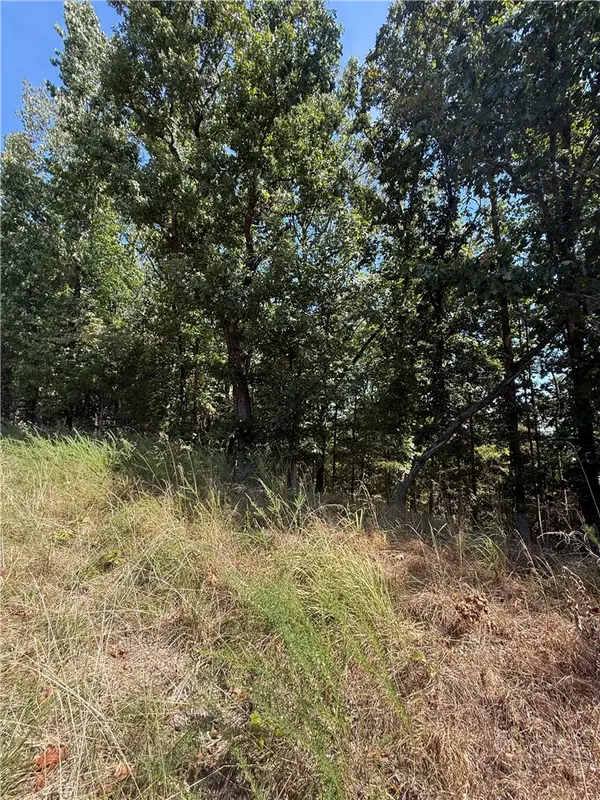 LOT B Old Campbell Road, Rogers, AR 72758