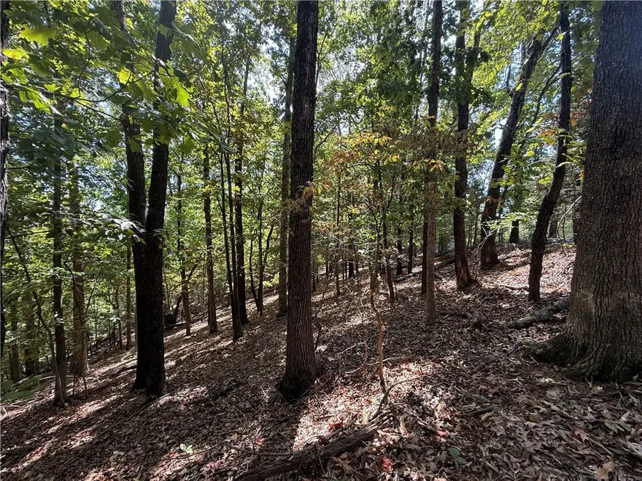 LOT B Old Campbell Road, Rogers, AR 72758 - #2