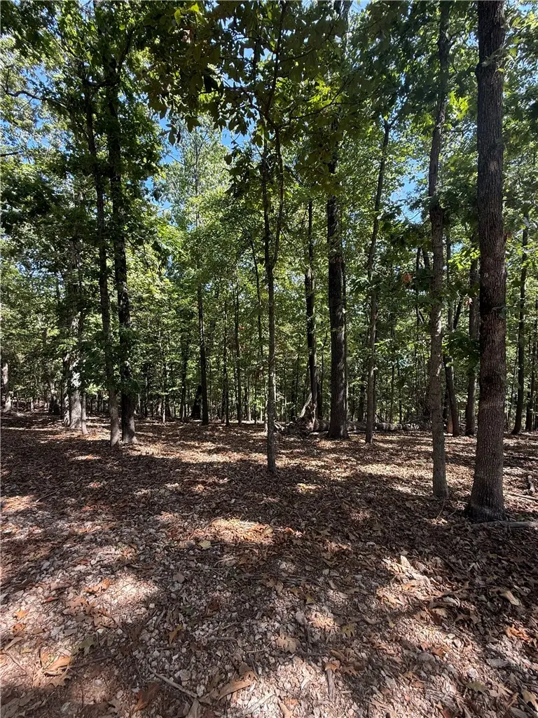 LOT C Old Campbell Road, Rogers, AR 72758 - #2