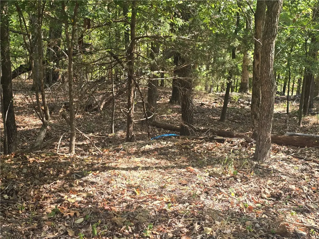 Marlborough Drive, Bella Vista, AR 72714 - #1