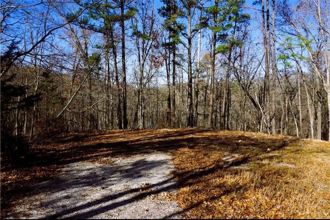 TBD Eden Lane, Bella Vista, AR 72714 - #1