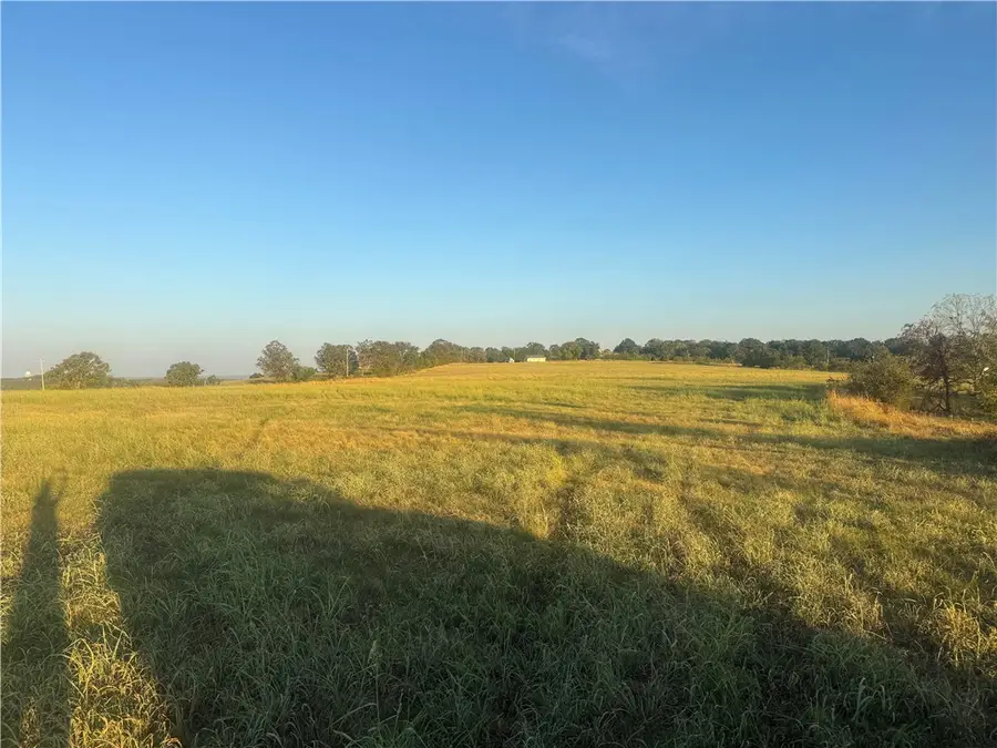 000 W Lowery Road, Lead Hill, AR 72644 - #2