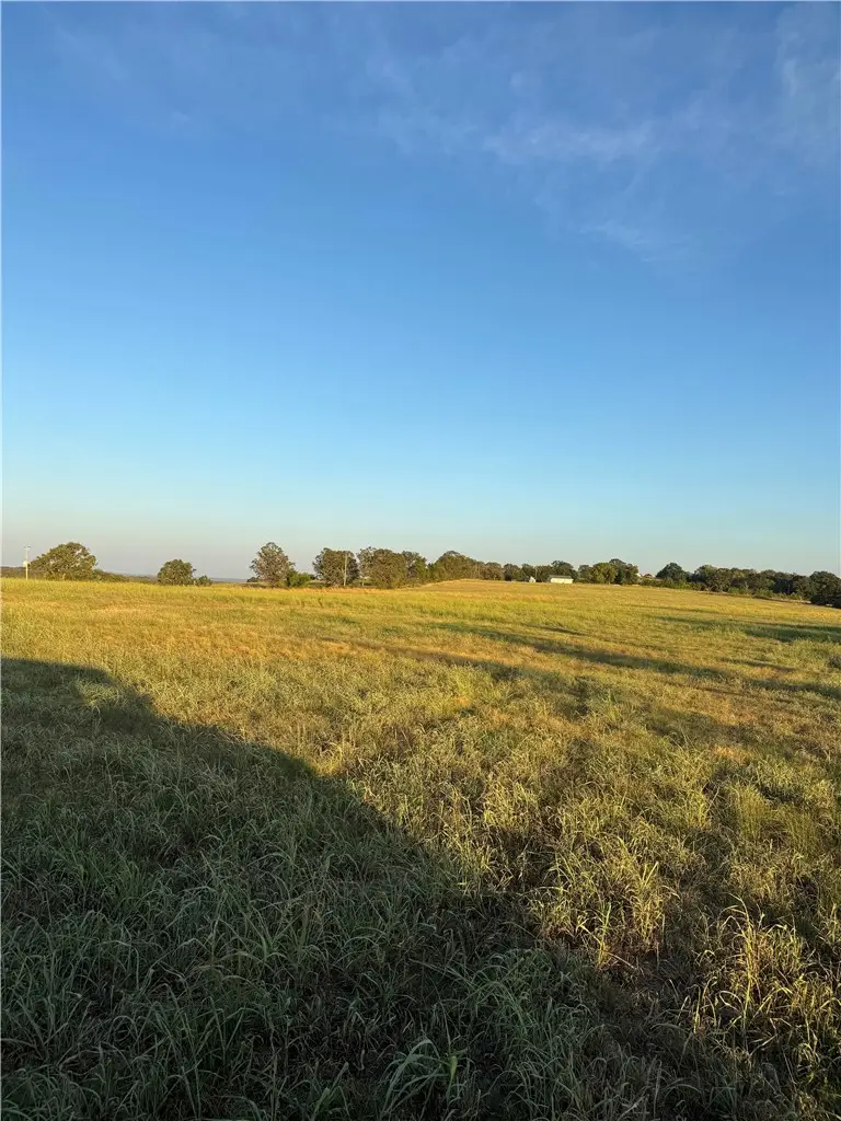 000 W Lowery Road, Lead Hill, AR 72644 - #3