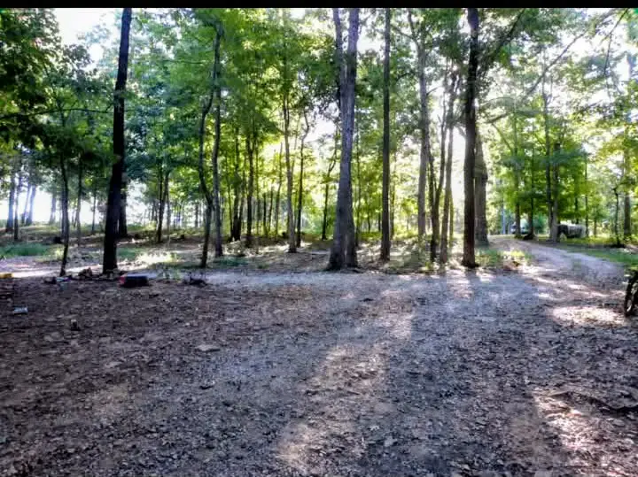 139 Madison 3260, Kingston, AR 72742 - #3