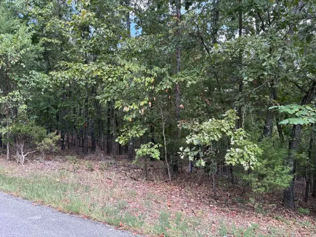 001-09384-000 Camp Galilee, Lead Hill, AR 72644 - #3