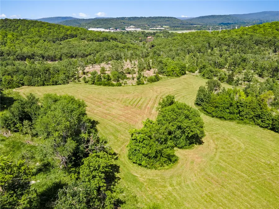 Letitia Avenue, Greenland, AR 72737 - #3