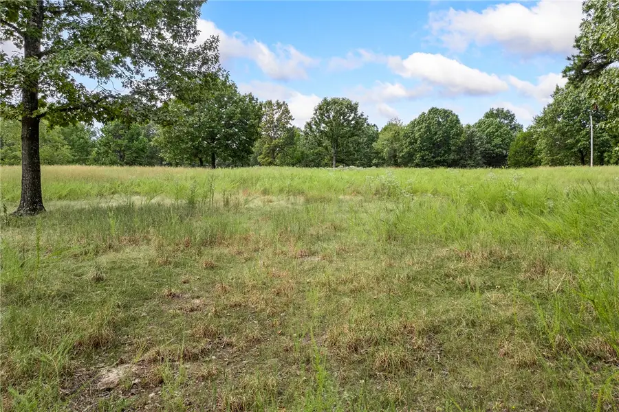 1319 Marion County 8036, Peel, AR 72668 - #3