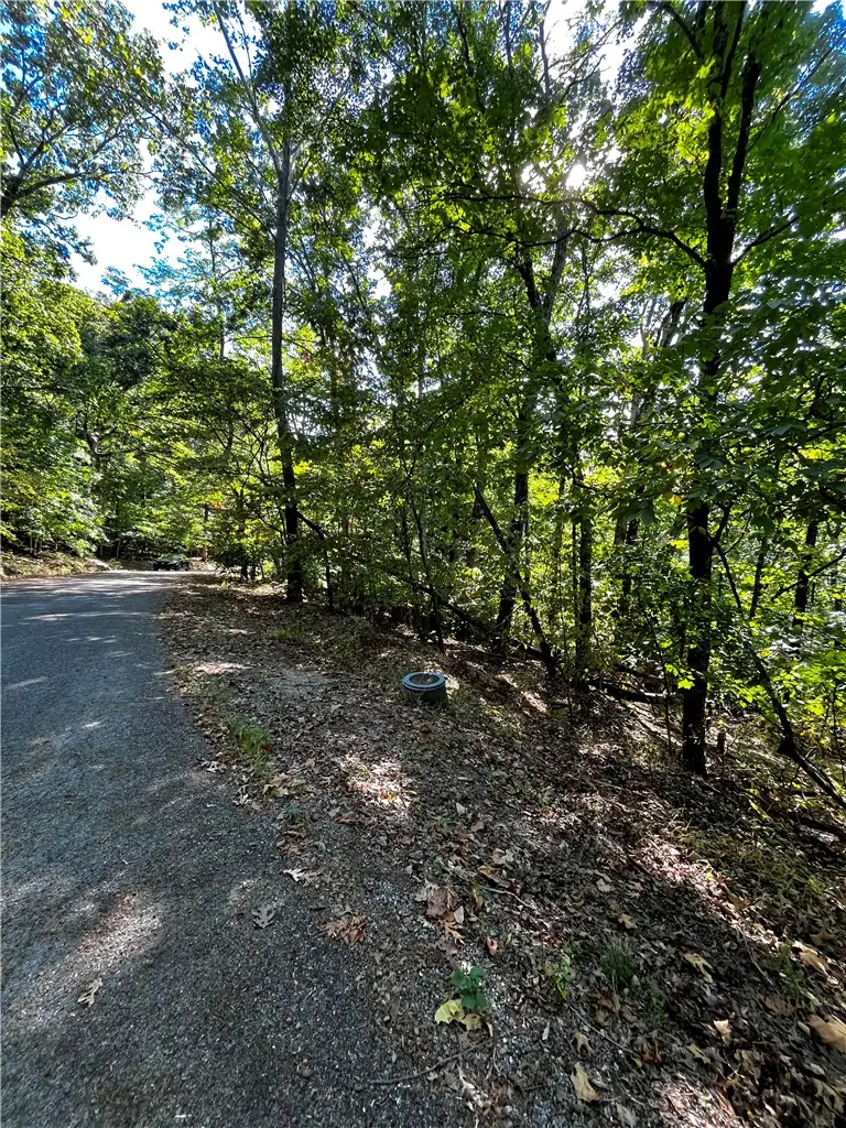 Woodside Lane, Holiday Island, AR 72631 - #2