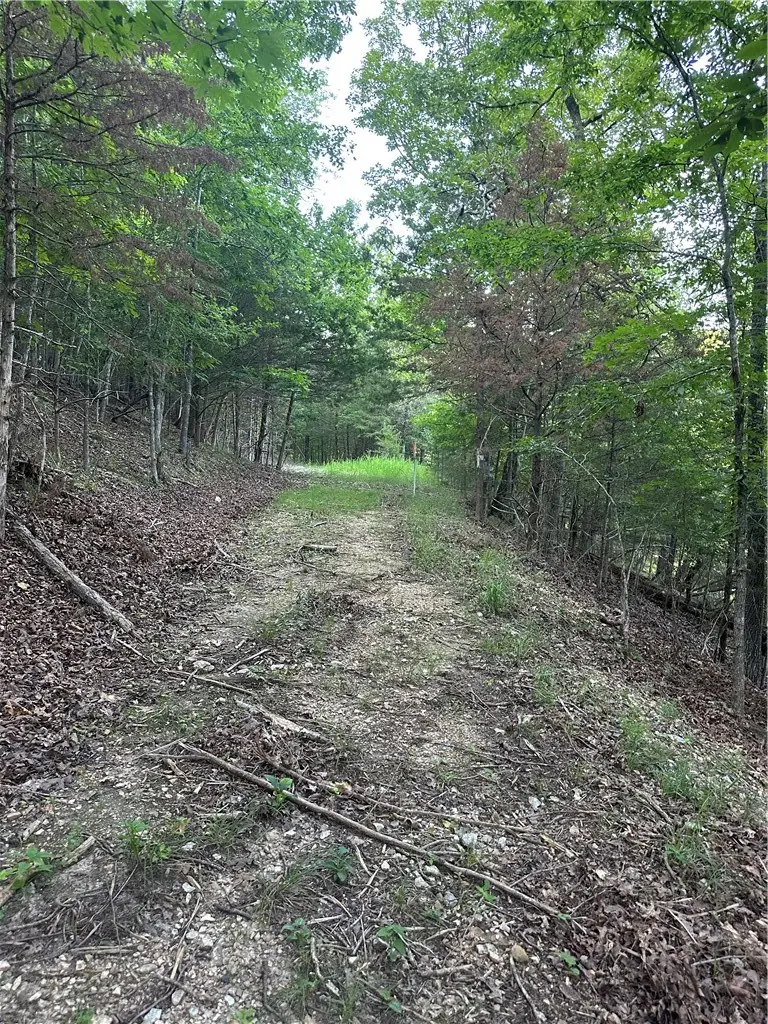 TBD County Road 152 And County Road 1524, Eureka Springs, AR 72632 - #3