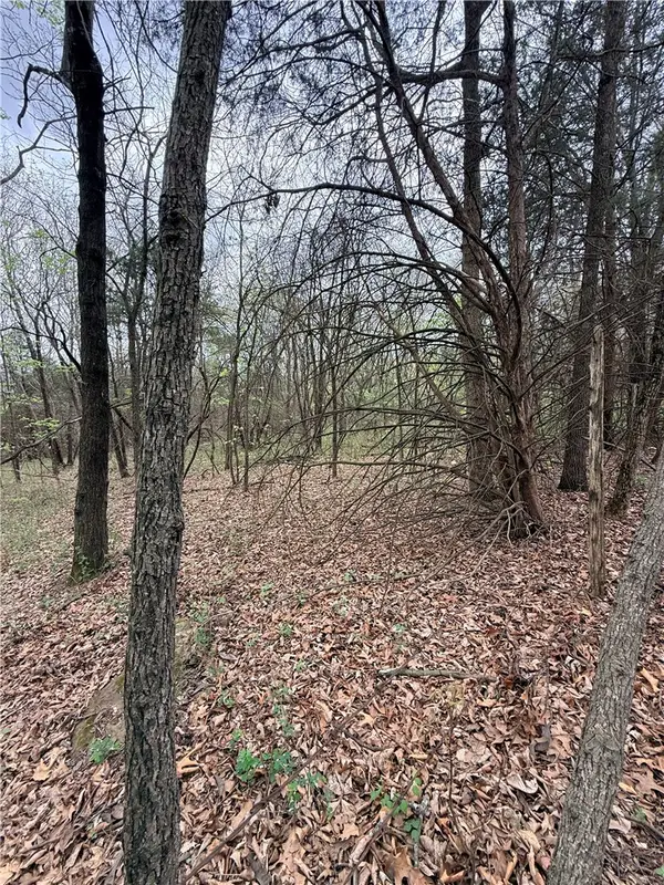 Lot 4 Cr-906, Green Forest, AR 72638