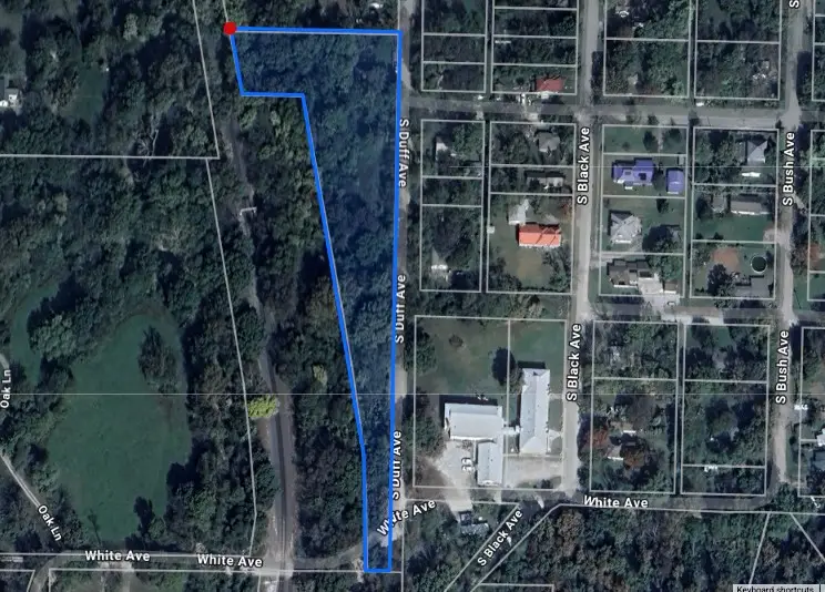 316 S Duff Avenue, Sulphur Springs, AR 72768 - #3