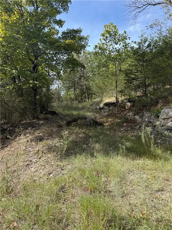 16 Oak Point Lane, Holiday Island, AR 72631
