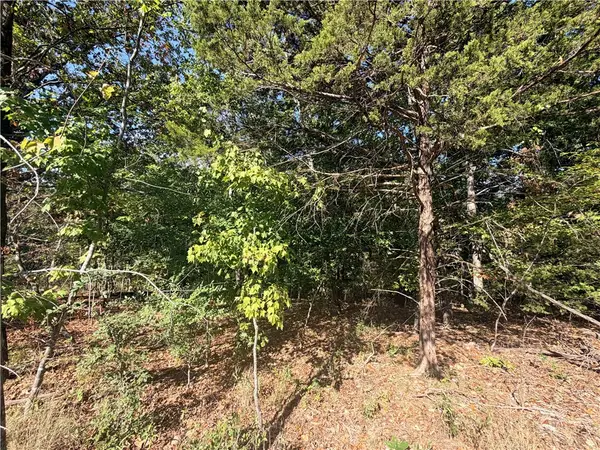11 Hurlford Lane, Bella Vista, AR 72715