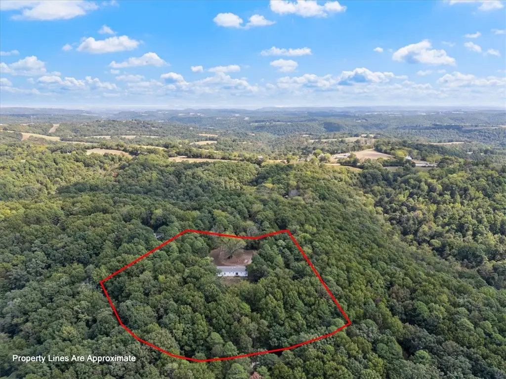 202 Silver Ridge Road, Eureka Springs, AR 72632 - #1