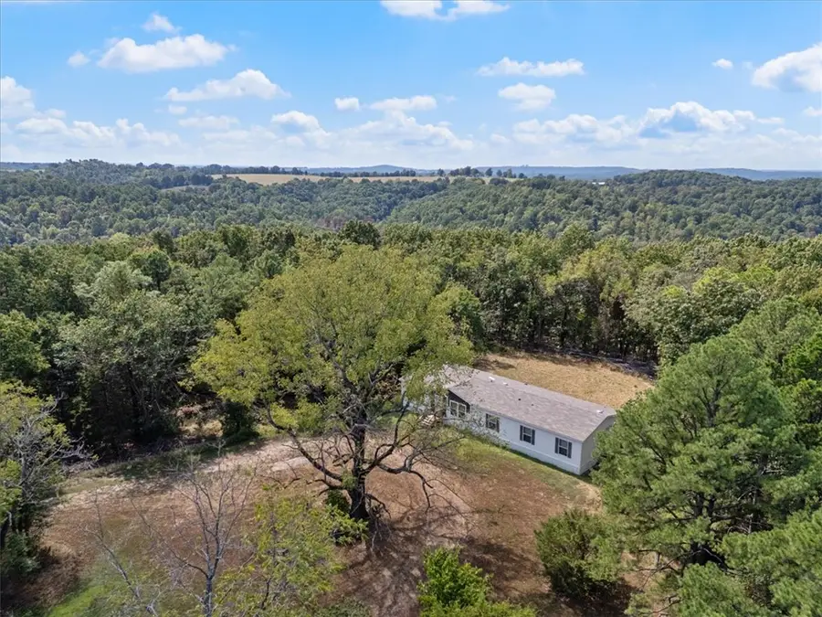 202 Silver Ridge Road, Eureka Springs, AR 72632 - #3