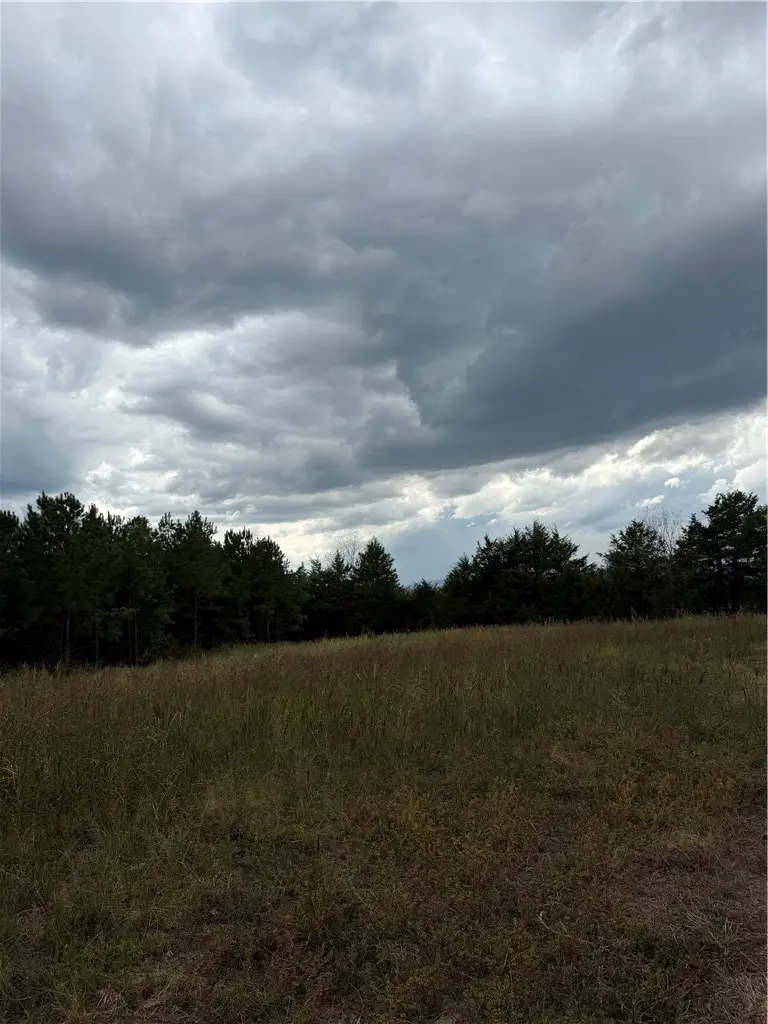 Hwy 333, Clark, AR 72812 - #2