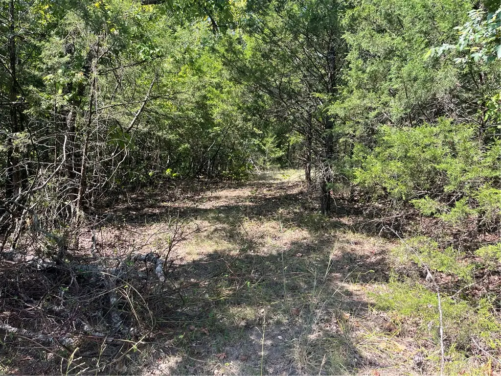 345 Mc 8112, Yellville, AR 72687 - #1