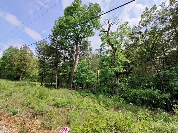 12 Sunrise Avenue, Holiday Island, AR 72631