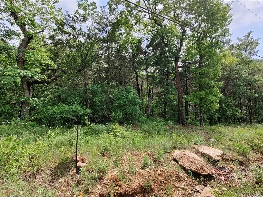 14 Sunrise Avenue, Holiday Island, AR 72631 - #1