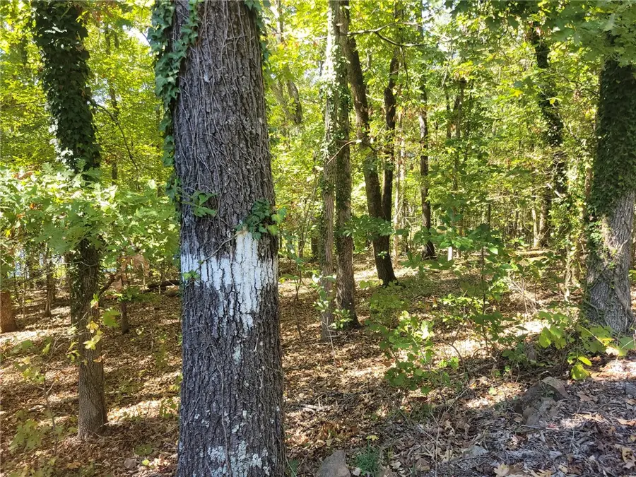 Private Road 2704, London, AR 72847 - #3
