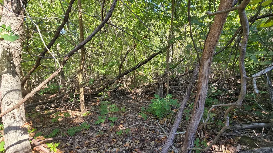 Wilts Lane, Bella Vista, AR 72715 - #2