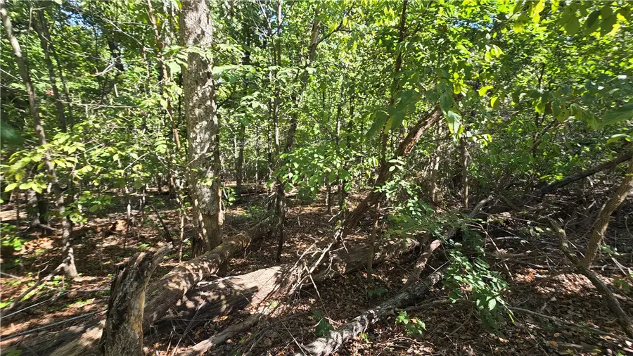 Wilts Lane, Bella Vista, AR 72715 - #3
