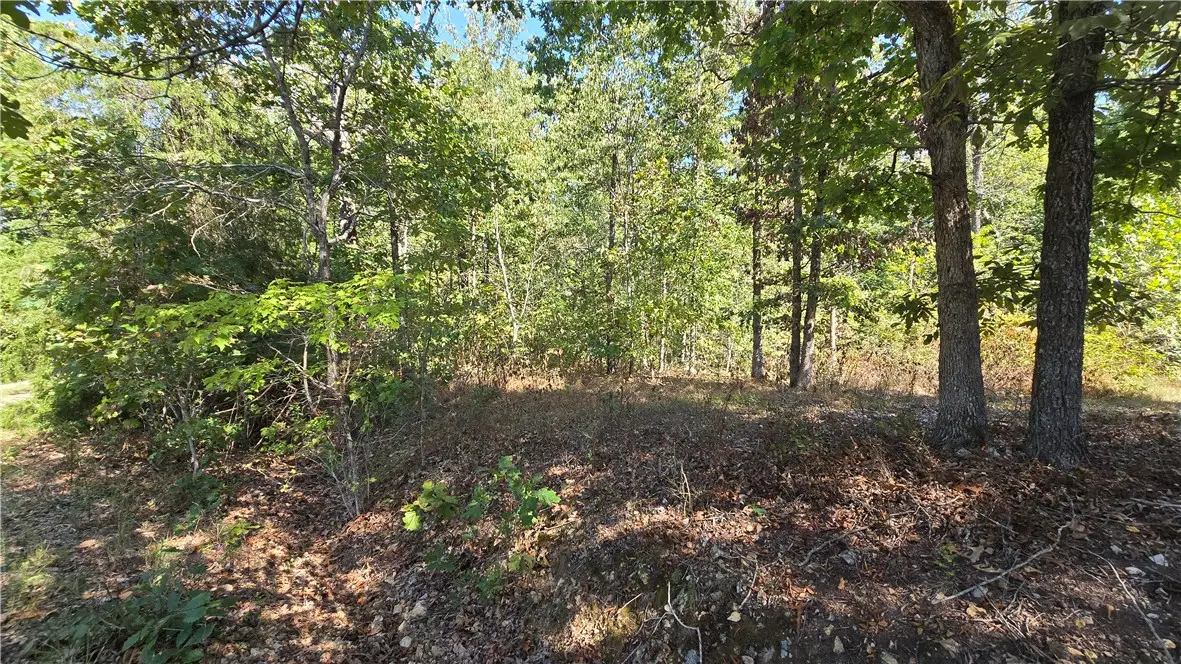 Egton Drive, Bella Vista, AR 72714 - #1