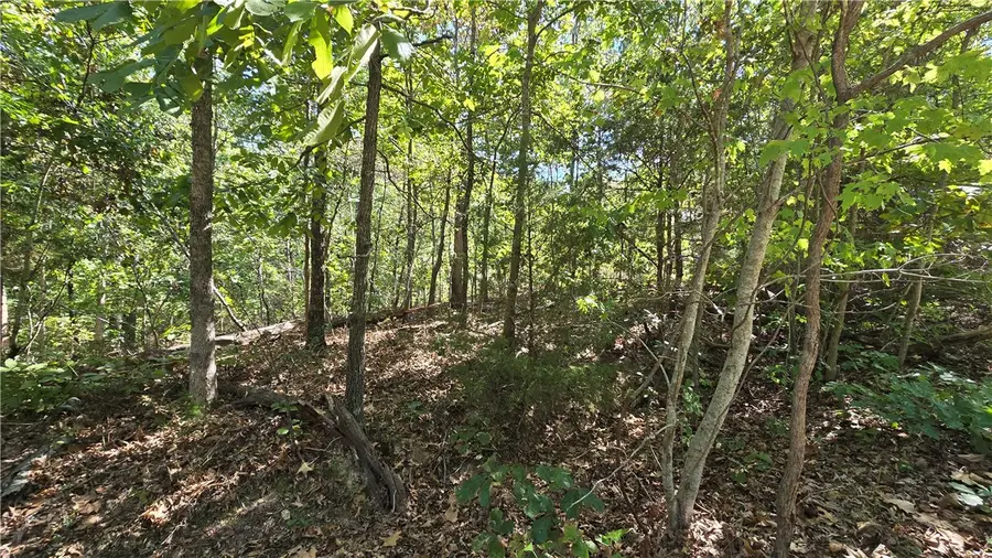 Egton Drive, Bella Vista, AR 72714 - #2