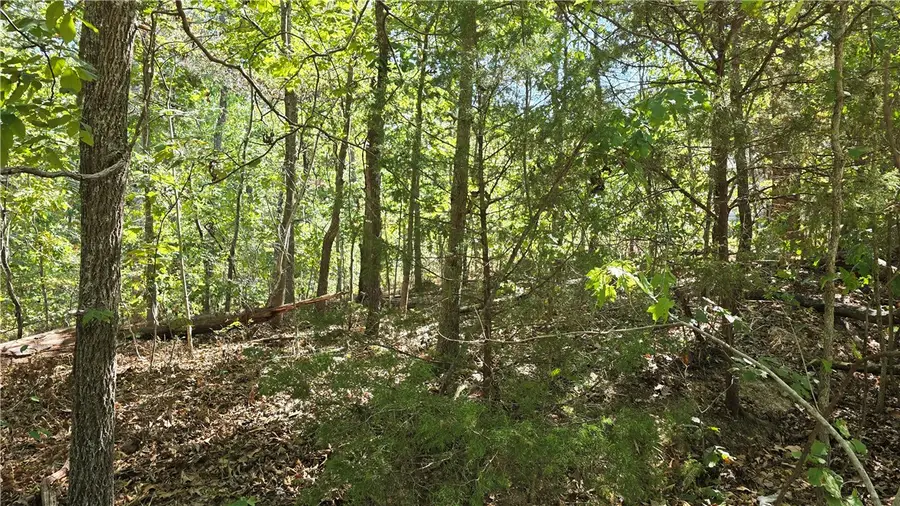 Egton Drive, Bella Vista, AR 72714 - #3