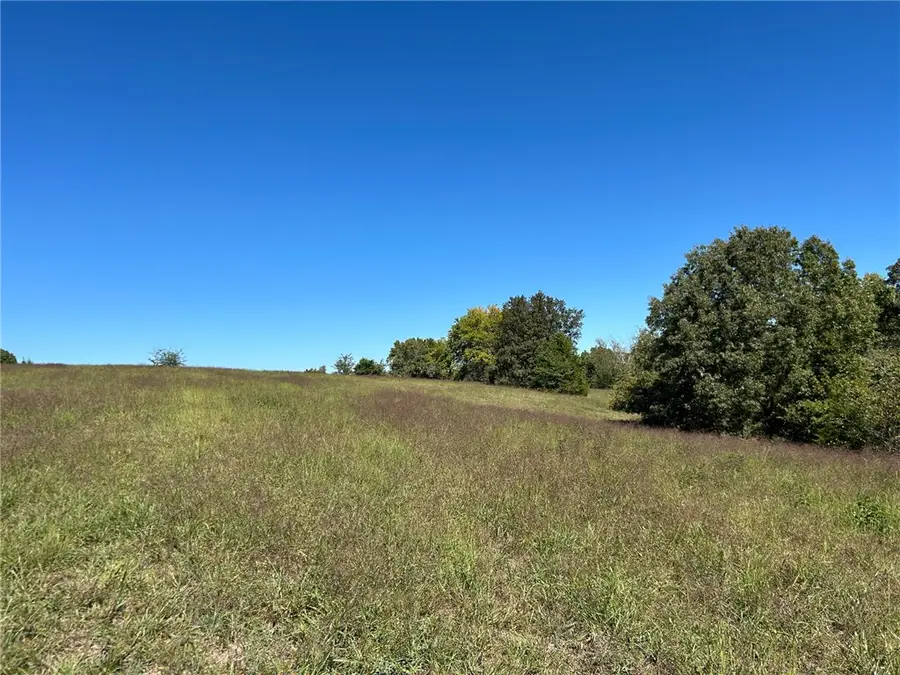 00 Nc 4216, Western Grove, AR 72685 - #3