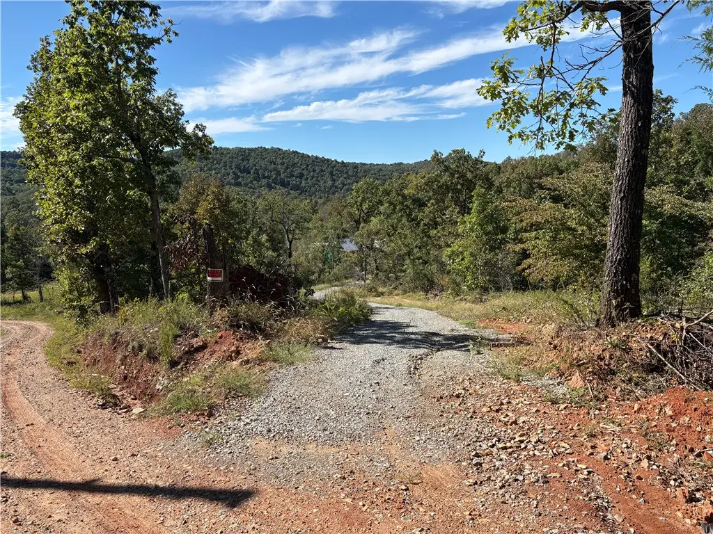 267 Mayfield Lane, Flippin, AR 72634 - #1