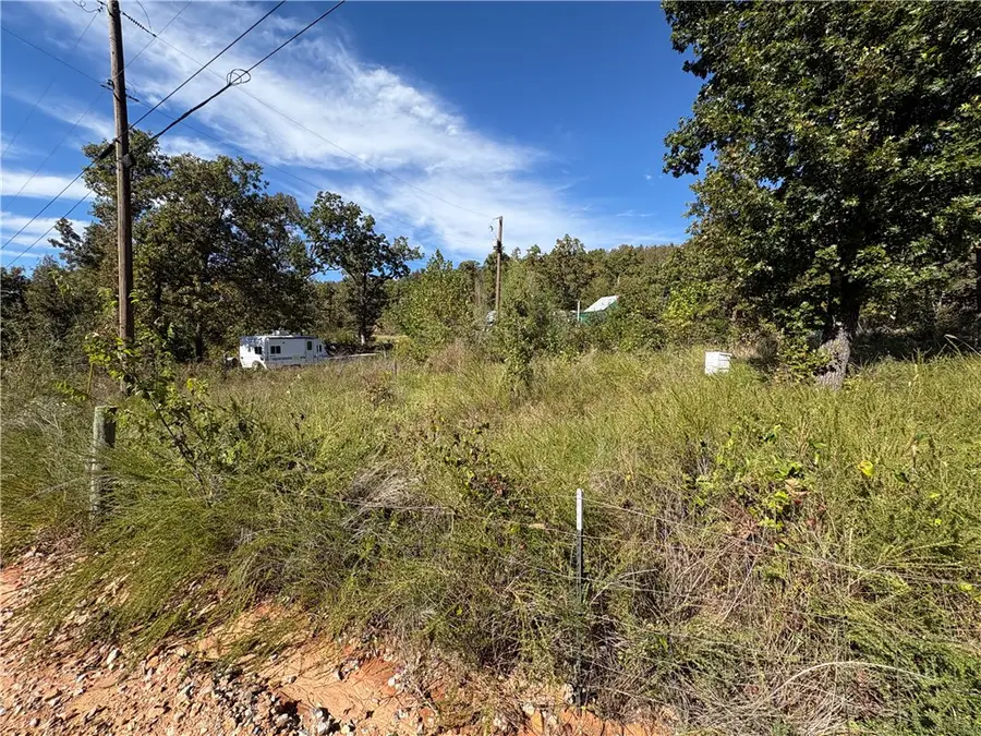 267 Mayfield Lane, Flippin, AR 72634 - #3